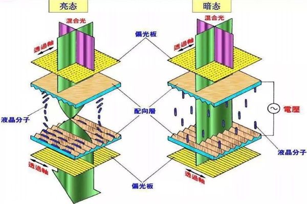 每天都在看的手机屏，是怎么做出来的？
