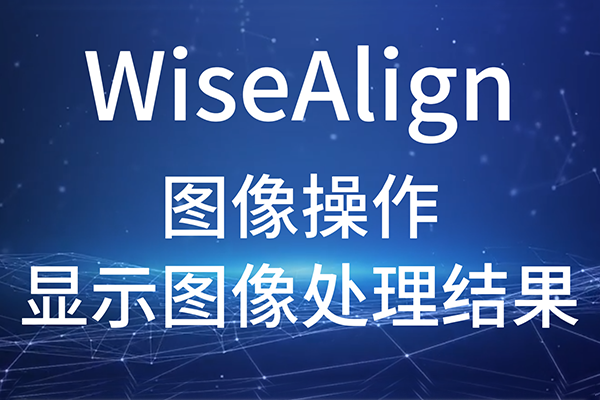 WiseAlign-图像操作-显示图像处理结果