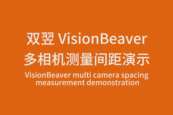 VisionBeaver多相机测量间距演示